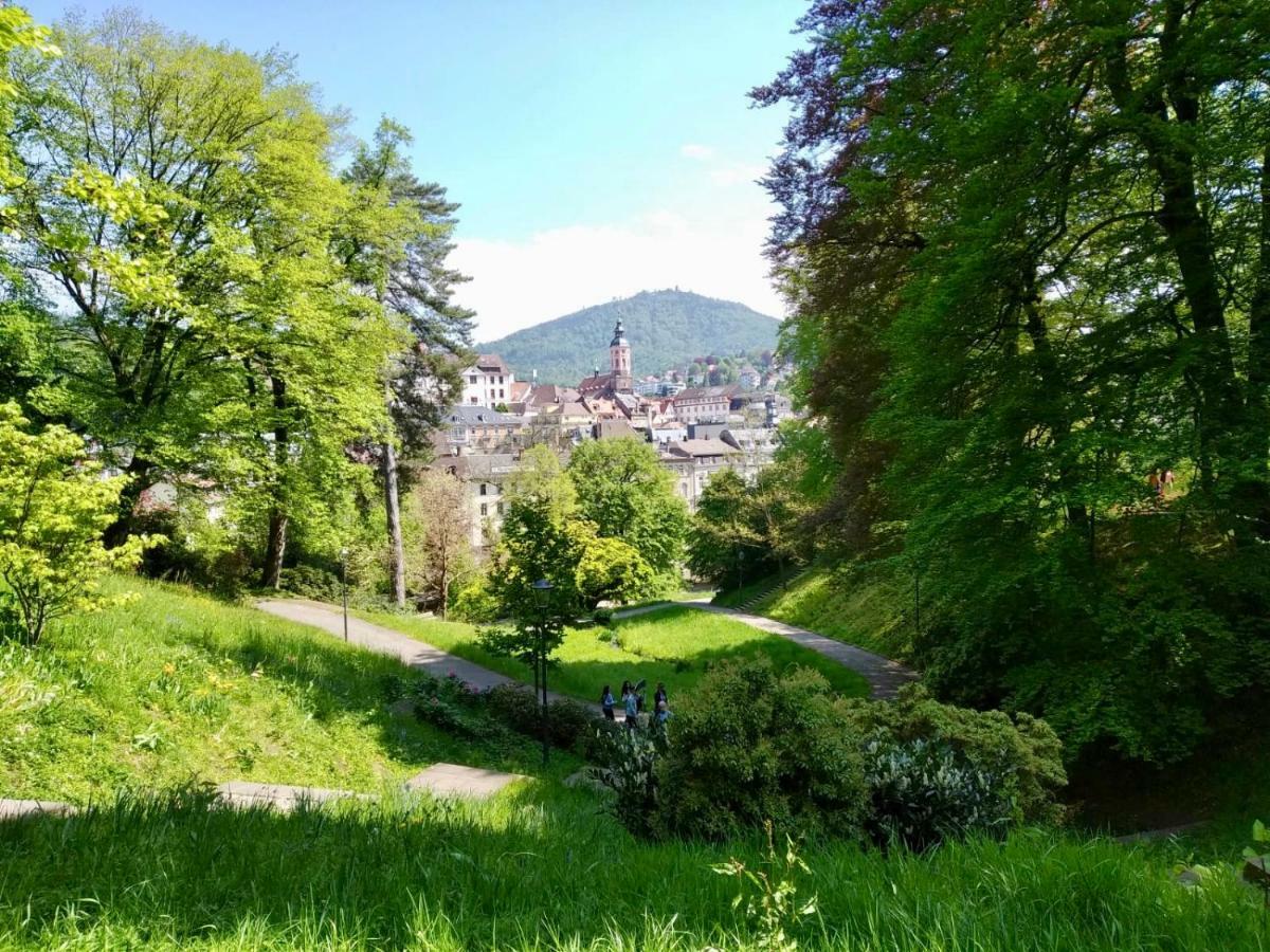 Apartments Alice & Julia Baden-Baden Esterno foto